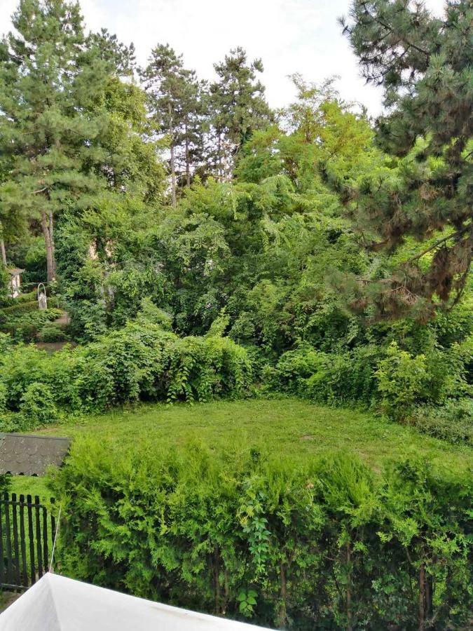 Vila Eden Palić Exteriör bild